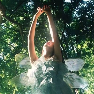 蜡笔小新：我的搬家物语仙人掌大袭击